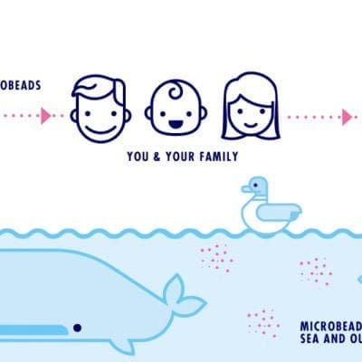 Microbeads are toxic magnets, making their way up the food chain