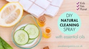 DIY Natural Cleaning Spray. Pet Friendly Cleaning Products, Natural Cleaning Products. How to reduce chemicals in your home. Awake organics.