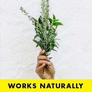 Plastic Free natural deodorant UK | Moon Goo | Aluminium Free | Cruelty Free | Awake Organics | herbal