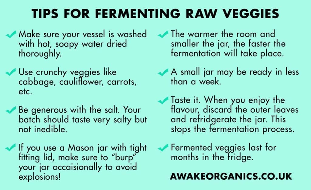 How to make sauerkraut raw fermented veggies | Top Tips | By Awake Organics | Pantry Beauty 101 | DIY Tutorial