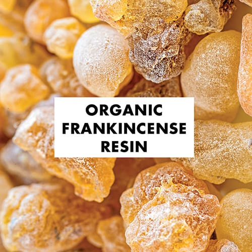 Organic Frankincense Resin | Awake Organics